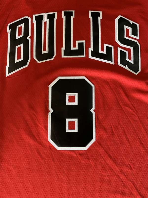 20/21 Chicago Bulls LAVINE #8 Red Basketball Jersey (Stitched)