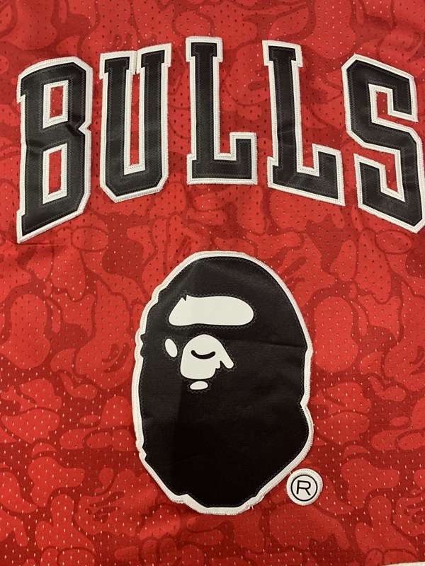 1996/97 Chicago Bulls BAPE #93 Red Classics Basketball Jersey (Stitched)