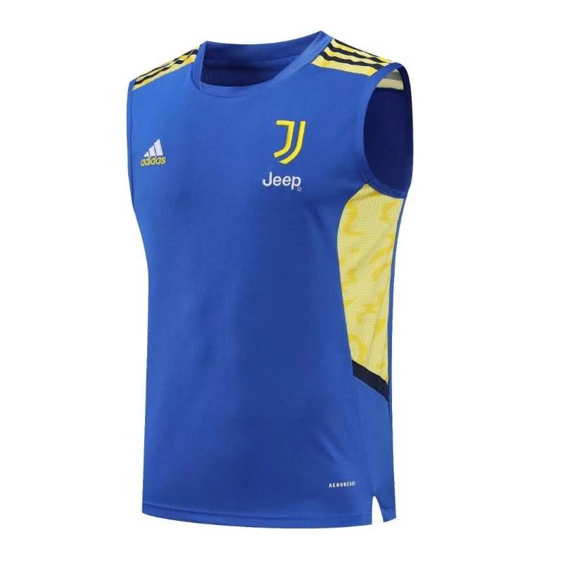 Thailand Quality(AAA) 22/23 Juventus Blue Vest Soccer Jersey