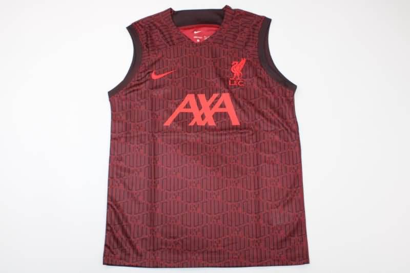Thailand Quality(AAA) 22/23 Liverpool Dark Red Vest Soccer Jersey