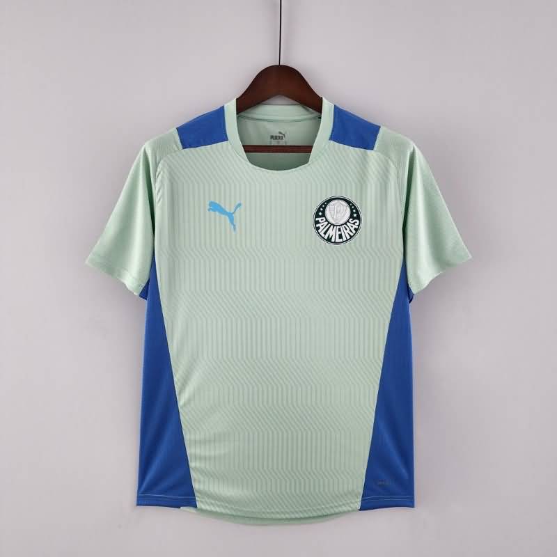 Thailand Quality(AAA) 2022 Palmeiras Training Soccer Jersey