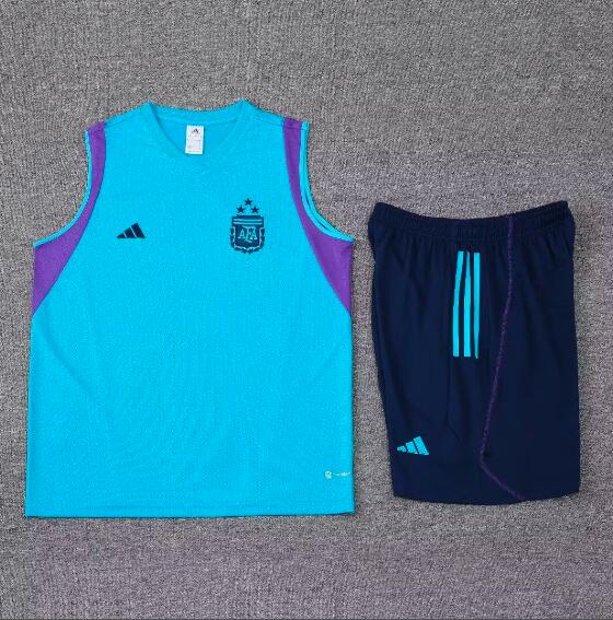 Thailand Quality(AAA) 2023 Argentina Blue Training Soccer Sets 04