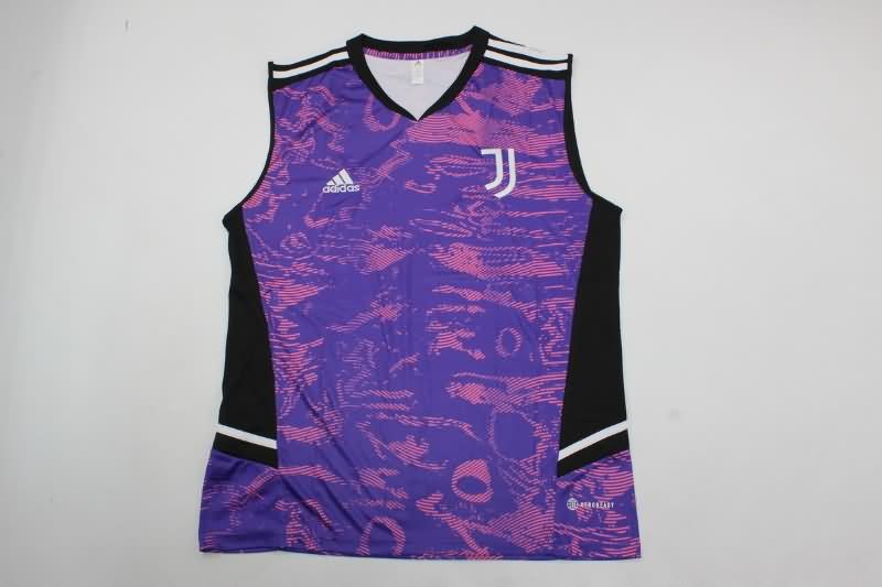 Thailand Quality(AAA) 23/24 Juventus Training Vest Soccer Jersey