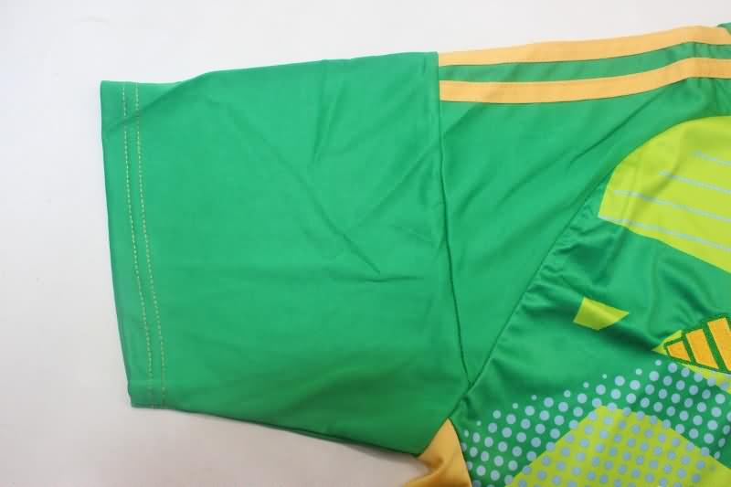 Thailand Quality(AAA) 2024 Boca Juniors Goalkeeper Green Soccer Jersey