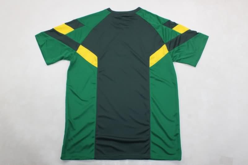 Thailand Quality(AAA) 24/25 Celtic Training Soccer Jersey 02