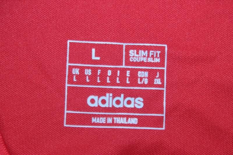 Thailand Quality(AAA) 24/25 Hamburg Third Soccer Jersey