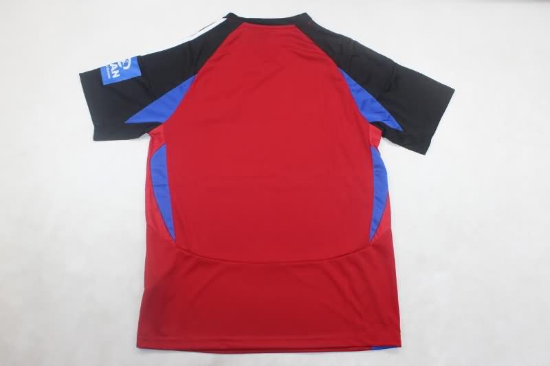 Thailand Quality(AAA) 24/25 Hamburg Third Soccer Jersey