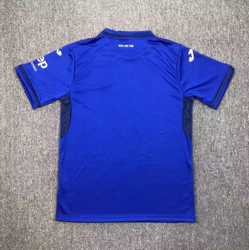 Thailand Quality(AAA) 24/25 Hoffenheim Home Soccer Jersey