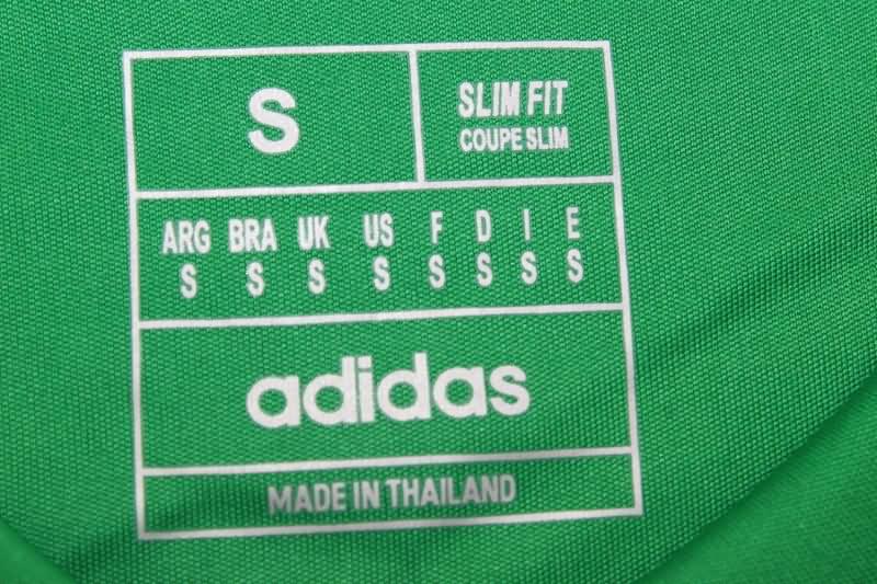 Thailand Quality(AAA) 24/25 Juventus Goalkeeper Green Soccer Jersey