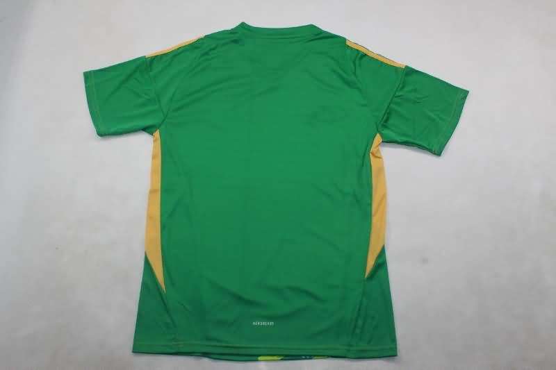 Thailand Quality(AAA) 24/25 Juventus Goalkeeper Green Soccer Jersey