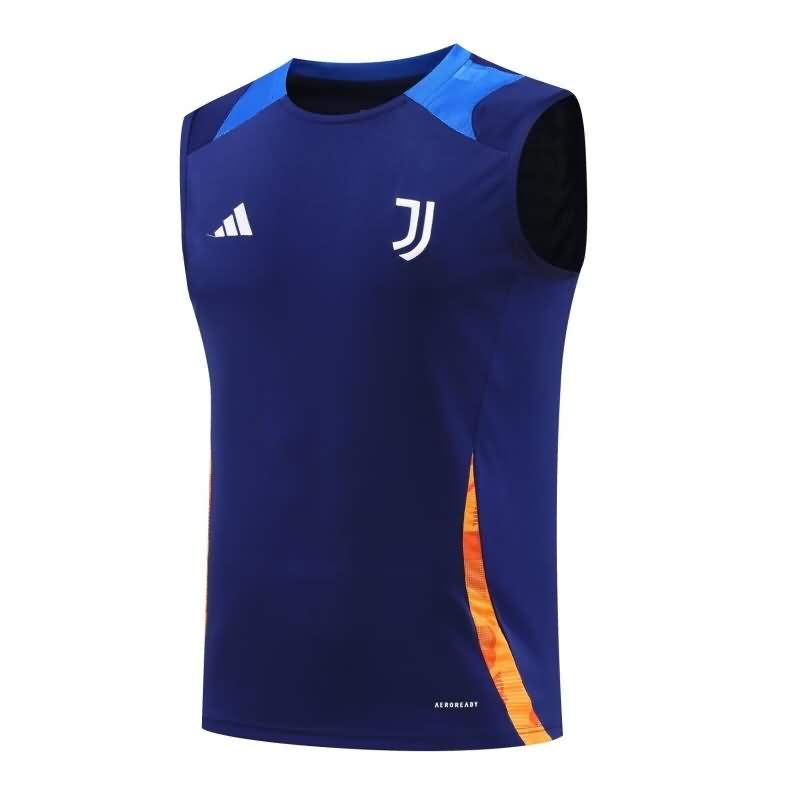 Thailand Quality(AAA) 24/25 Juventus Training Vest Soccer Jersey