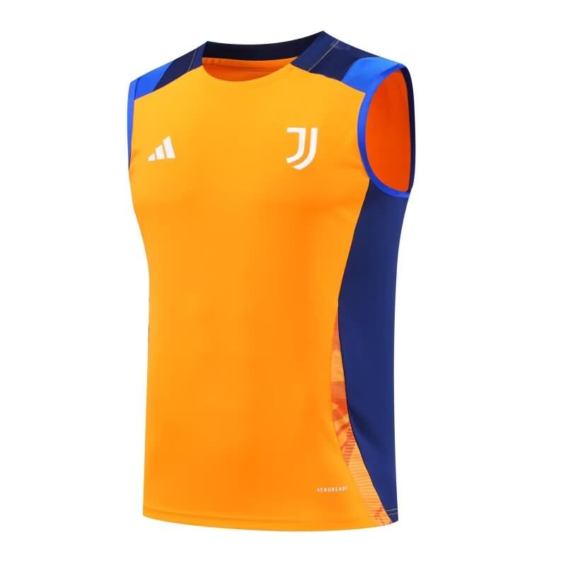 Thailand Quality(AAA) 24/25 Juventus Training Vest Soccer Jersey 03