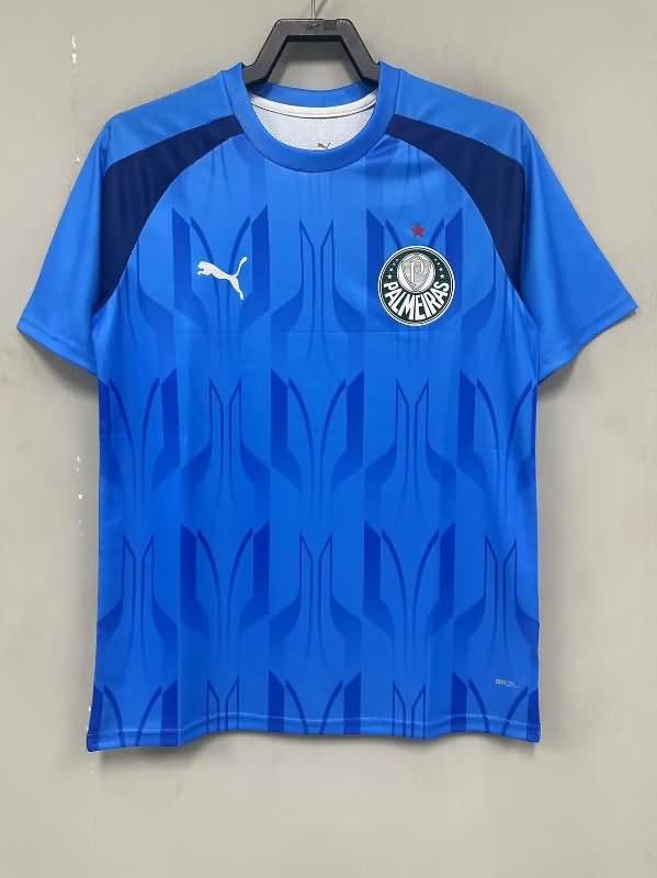 Thailand Quality(AAA) 2024 Palmeiras Training Soccer Jersey