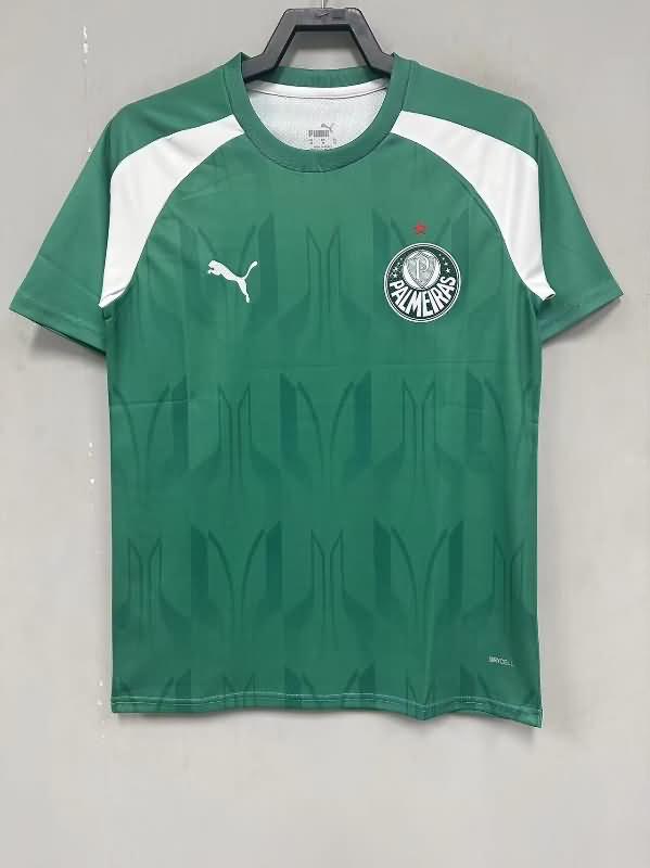 Thailand Quality(AAA) 2024 Palmeiras Training Soccer Jersey 02