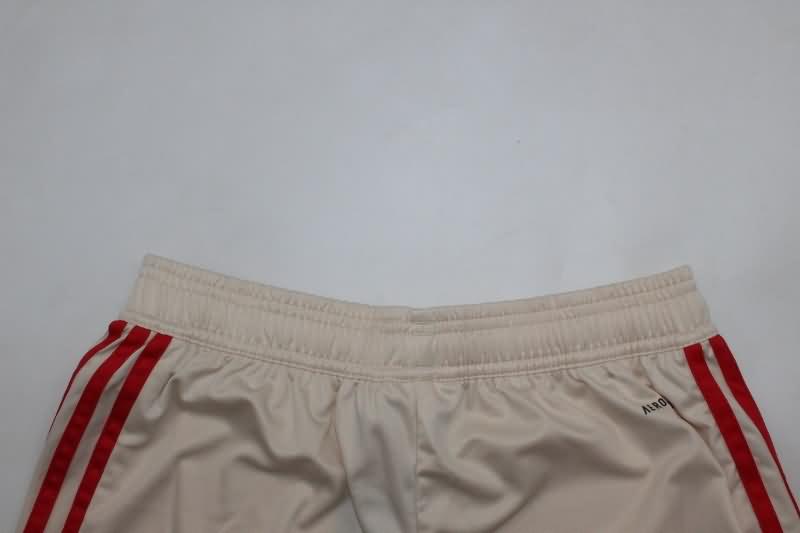 Thailand Quality(AAA) 24/25 Bayern Munich Third Soccer Shorts