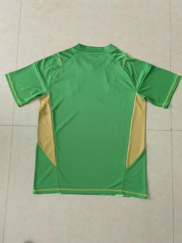 Thailand Quality(AAA) 2024 Argentina Copa America Goalkeeper Green Soccer Jersey