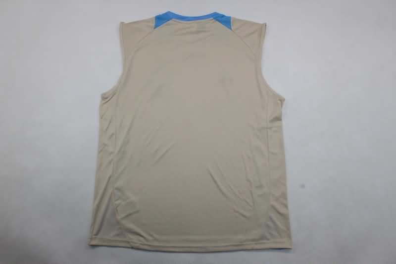 Thailand Quality(AAA) 2024 Argentina Training Vest Soccer Jersey