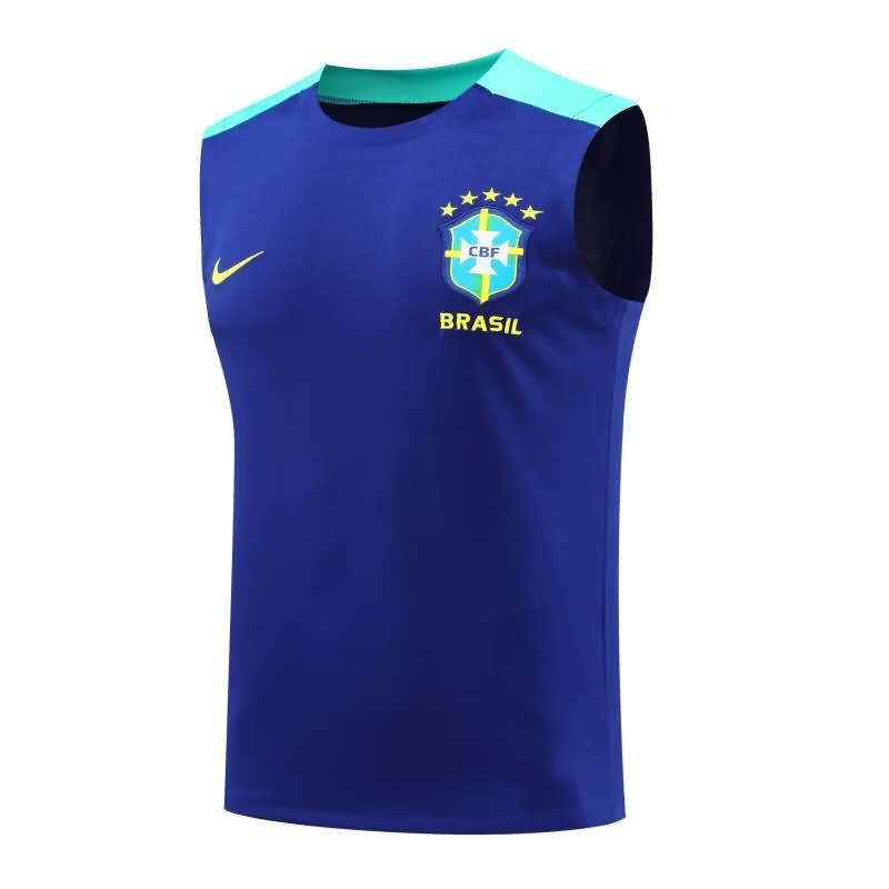 Thailand Quality(AAA) 2024 Brazil Training Vest Soccer Jersey 02
