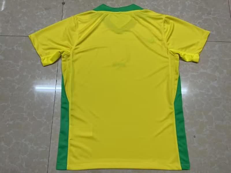 Thailand Quality(AAA) 2025 Brazil Home Soccer Jersey