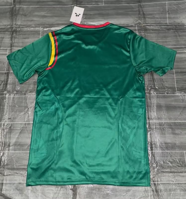 Thailand Quality(AAA) 2024/25 Cameroon Home Soccer Jersey