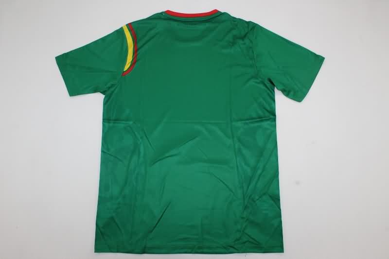 Thailand Quality(AAA) 2024/25 Cameroon Home Soccer Jersey