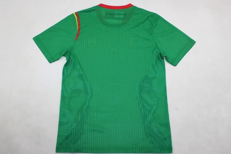 Thailand Quality(AAA) 2024/25 Cameroon Home Soccer Jersey (Player)