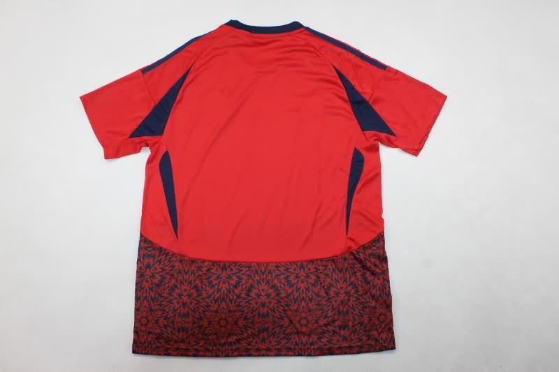 Thailand Quality(AAA) 2024 Costa Rica Copa America Home Soccer Jersey