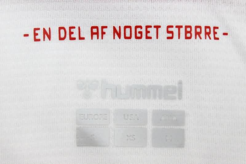 Thailand Quality(AAA) 2024 Denmark Away Soccer Jersey