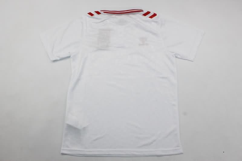 Thailand Quality(AAA) 2024 Denmark Away Soccer Jersey