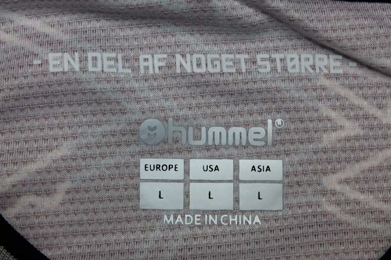 Thailand Quality(AAA) 2024 Denmark Training Soccer Jersey 02