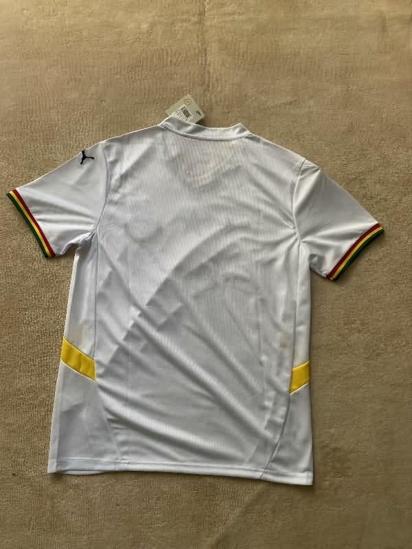 Thailand Quality(AAA) 2025 Ghana Special Soccer Jersey