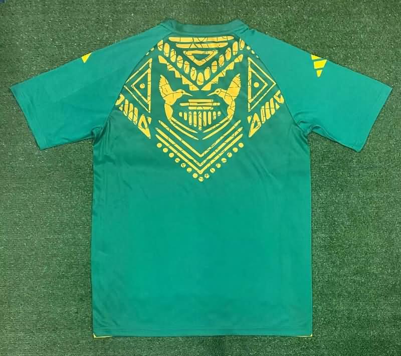 Thailand Quality(AAA) 2024 Jamaica Training Soccer Jersey