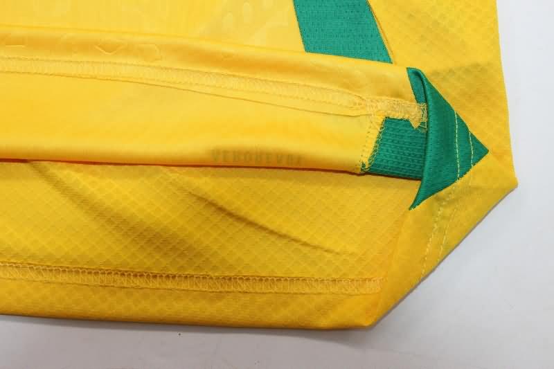 Thailand Quality(AAA) 2024 Jamaica Copa America Home Soccer Jersey