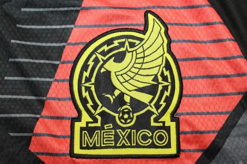 Thailand Quality(AAA) 2024 Mexico Copa America Goalkeeper Black Long Sleeve Soccer Jersey