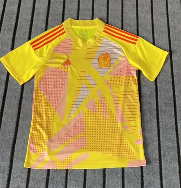 Thailand Quality(AAA) 2024 Mexico Copa America Goalkeeper Yellow Soccer Jersey