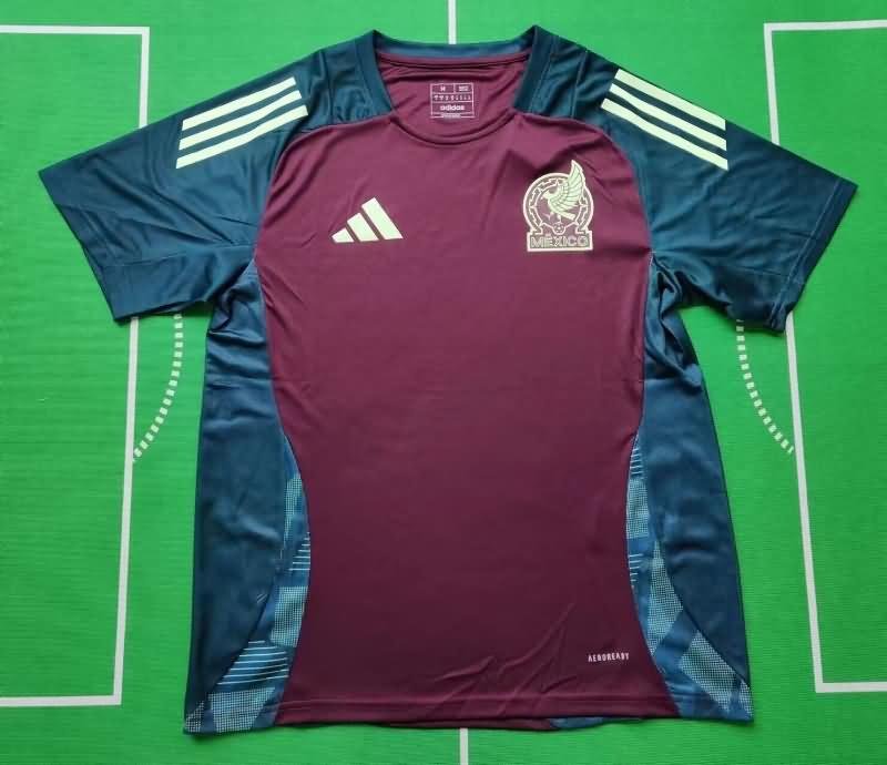 Thailand Quality(AAA) 2024 Mexico Training Soccer Jersey 02
