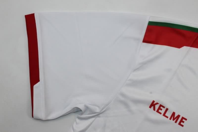 Thailand Quality(AAA) 2024 Palestine Away Soccer Jersey