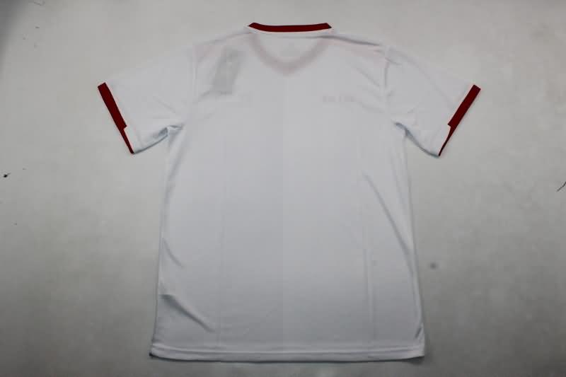 Thailand Quality(AAA) 2024 Palestine Away Soccer Jersey