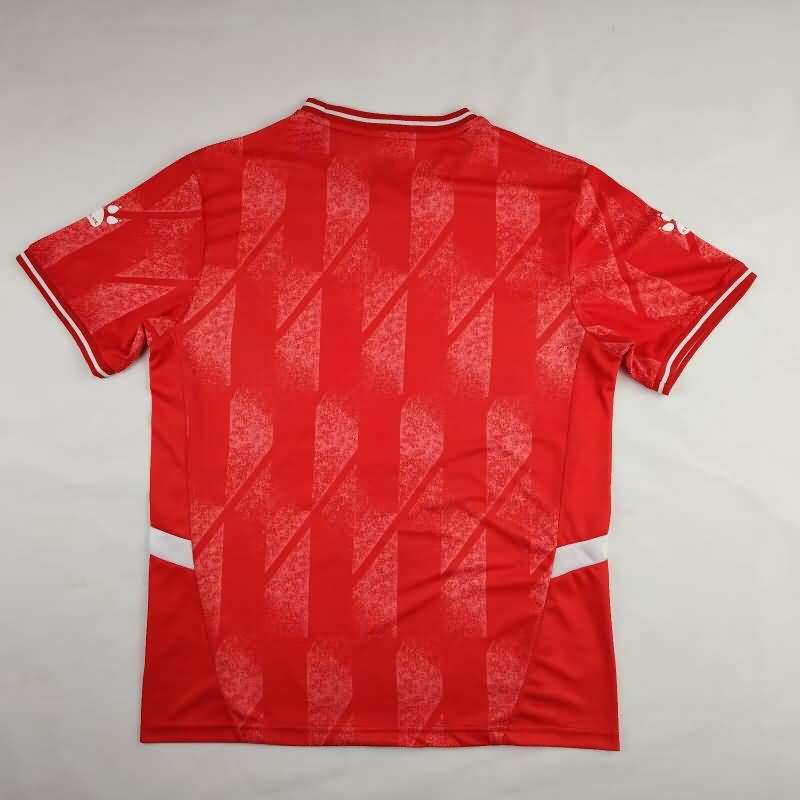 Thailand Quality(AAA) 2024 Palestine Special Soccer Jersey 02