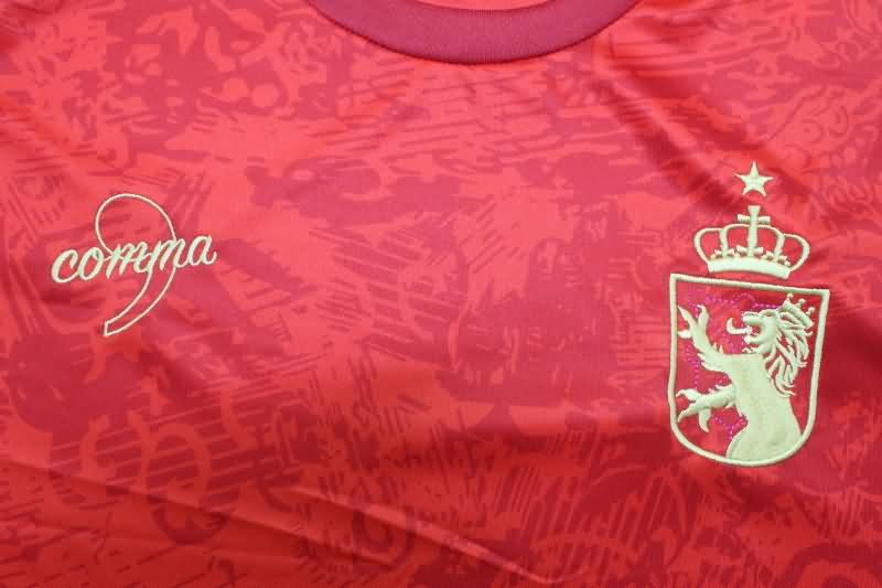 Thailand Quality(AAA) 24/25 Spain Special Soccer Jersey