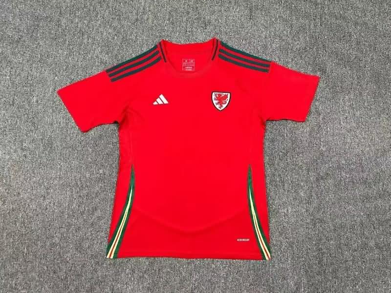 Thailand Quality(AAA) 2024 Wales Home Soccer Jersey