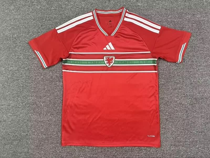 Thailand Quality(AAA) 2026 Wales Home Soccer Jersey Thailand Quality(AAA) 2026 Wales Home Soccer Jersey