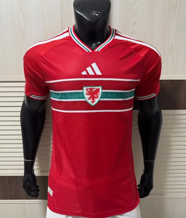 Thailand Quality(AAA) 2026 Wales Home Soccer Jersey (Player) Thailand Quality(AAA) 2026 Wales Home Soccer Jersey (Player)