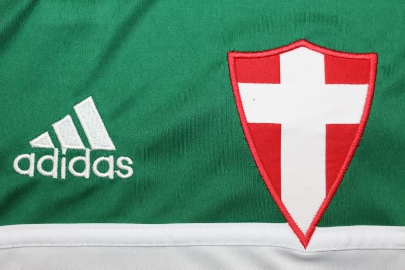 Thailand Quality(AAA) 2014 Palmeiras Third Retro Soccer Jersey