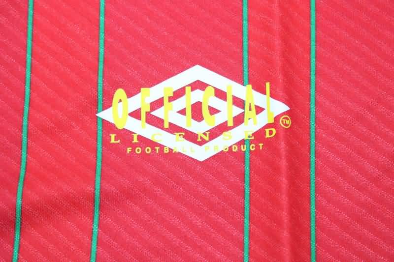 Thailand Quality(AAA) 1994/96 Wales Home Retro Soccer Jersey