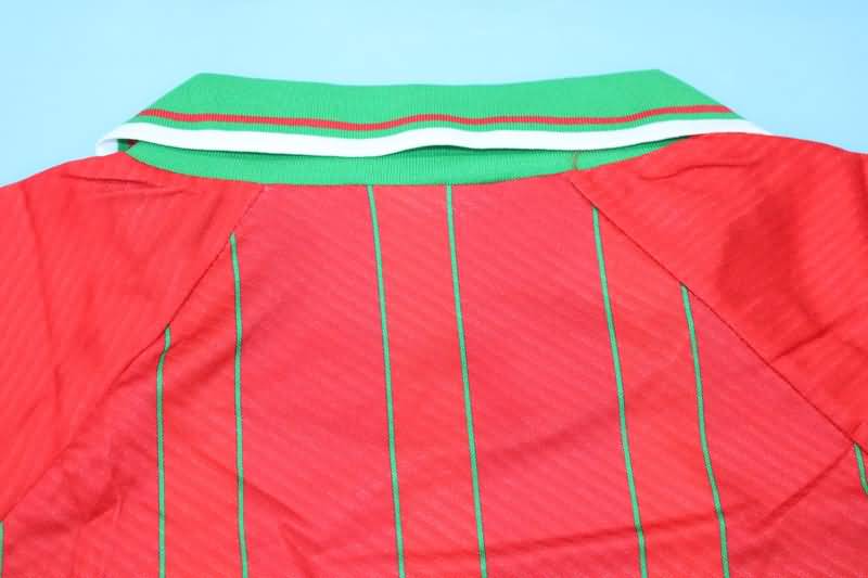 Thailand Quality(AAA) 1994/96 Wales Home Retro Soccer Jersey